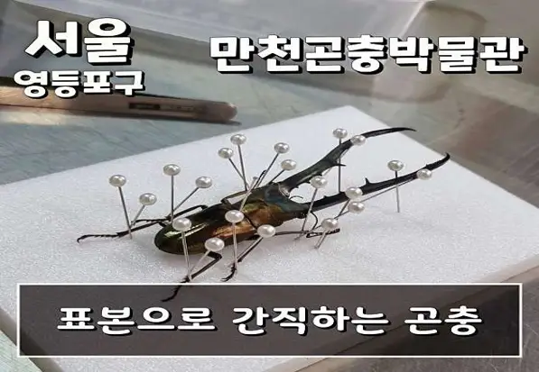 만천곤충박물관