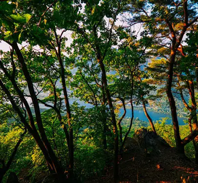 검단산