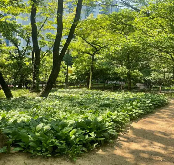 덕풍공원