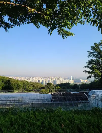 검단산