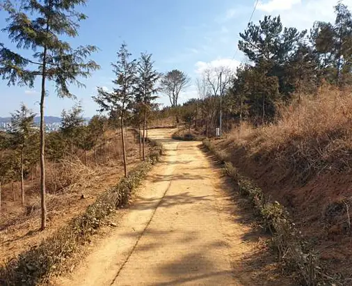 선학산전망대