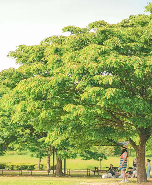 을숙도 철새공원