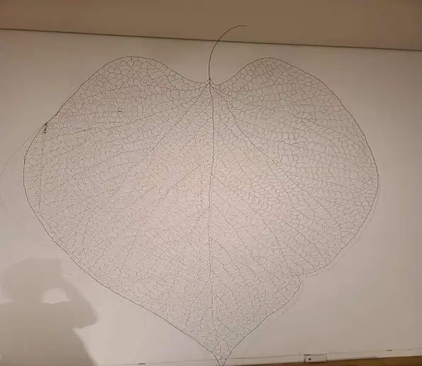 이화여자대학교 박물관