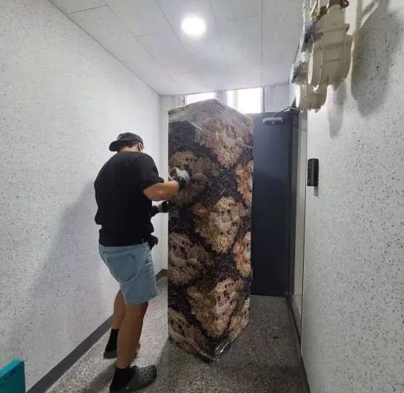 용달이사