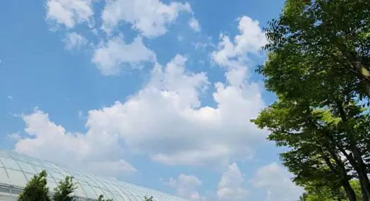 동천자연식물원