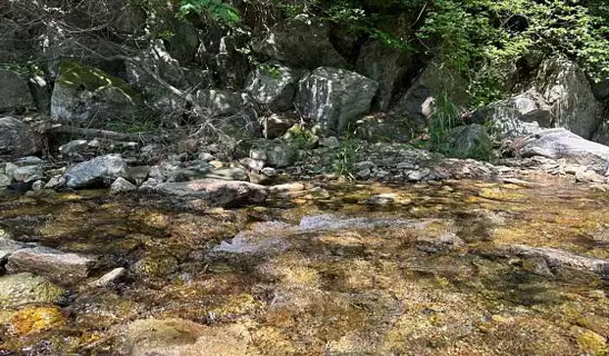 카페가다