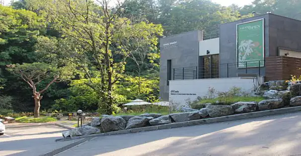 코나헤이븐