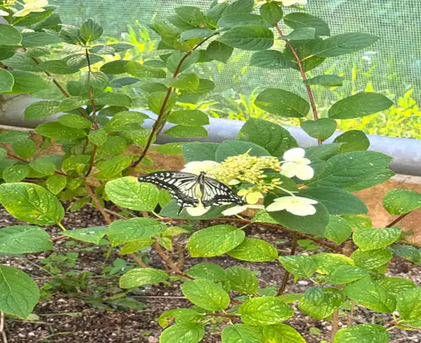 울산대공원 생태여행관