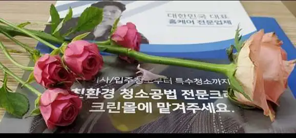 입주청소