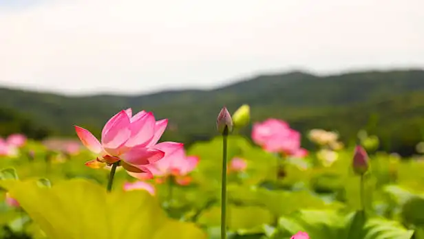 외암민속마을