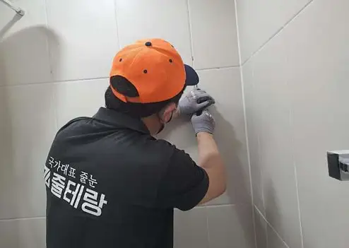 줄눈국가대표 줄테랑