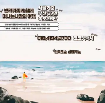 코코펫택시